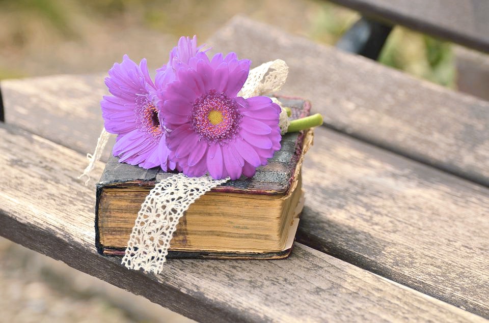 Journal sitting on bench with flowers